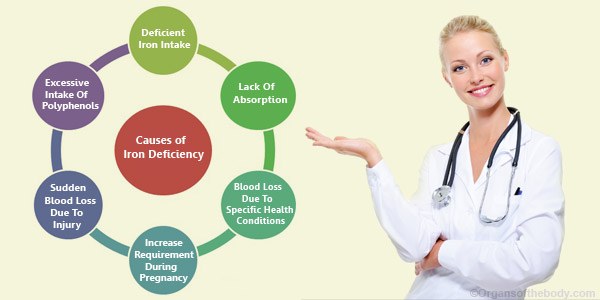 What Causes Iron Deficiency?