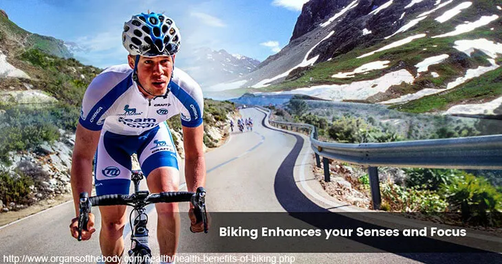 Biking Enhances your Senses and Focus