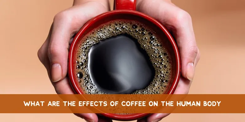 Effects of coffee on human body