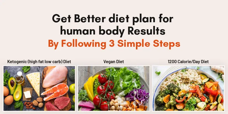 get better diet plan for human body