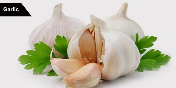 List of Healthy Foods - Garlic