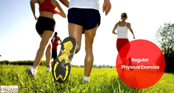 Learning All About Your Health - Regular Physical Exercise
