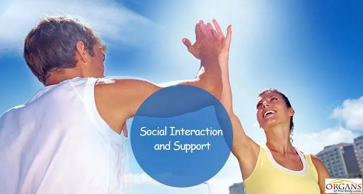 Learning All About Your Health - Social Interaction and Support